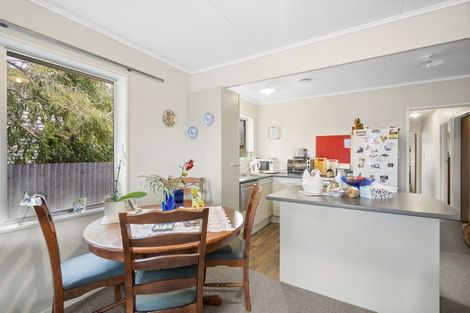 Photo of property in 46 Durham Street, Levin, 5510