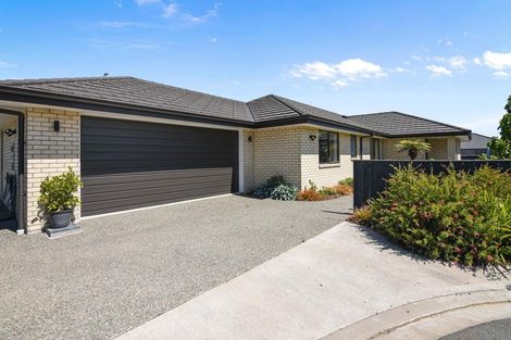 Photo of property in 10 Carmello Grove, Richmond, 7020