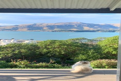 Photo of property in 78 Cressy Terrace, Lyttelton, 8082