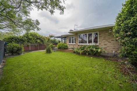 Photo of property in 351 Ruahine Street, Terrace End, Palmerston North, 4410
