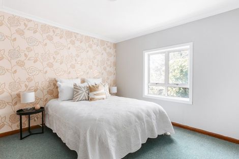 Photo of property in 48b Campbell Road, Mount Maunganui, 3116