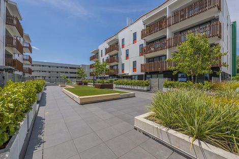Photo of property in 501/22 Library Lane, Albany, Auckland, 0632