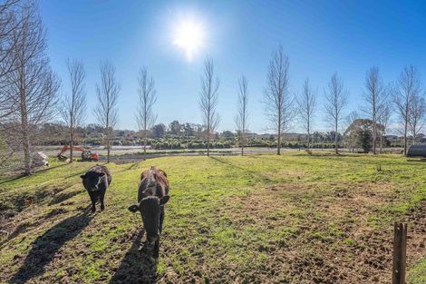 Photo of property in 6 Hadfield Road, Peka Peka, Waikanae, 5391