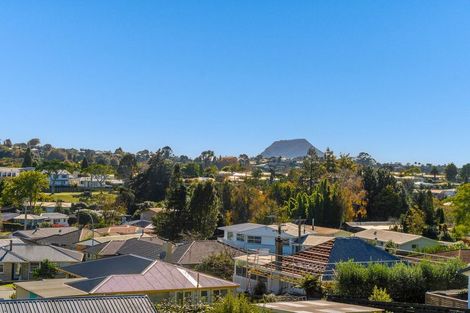 Photo of property in 19 Bellevue Road, Brookfield, Tauranga, 3110