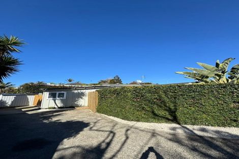 Photo of property in 55 Sunset Road, Totara Vale, Auckland, 0632