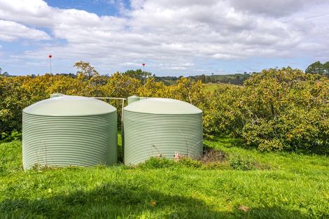Photo of property in 231 Walford Road, Aongatete, Katikati, 3181