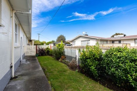 Photo of property in 17 Milford Street, Witherlea, Blenheim, 7201