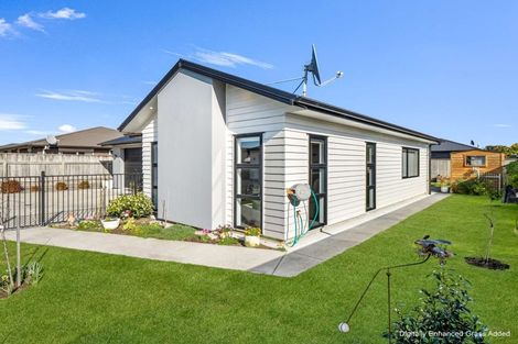 Photo of property in 6 Simon Street, Tawhero, Whanganui, 4501