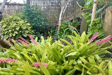 Photo of property in 2/9 Calliope Road, Devonport, Auckland, 0624