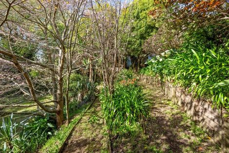 Photo of property in 29 Olwyn Terrace, Dinsdale, Hamilton, 3204