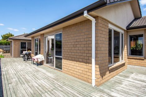 Photo of property in 45 Danny Place, Pyes Pa, Tauranga, 3112