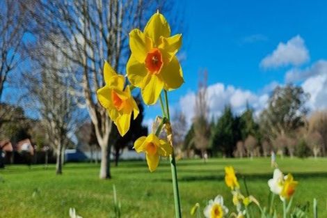 Photo of property in 1 Edwin Street, Belmont, Lower Hutt, 5010