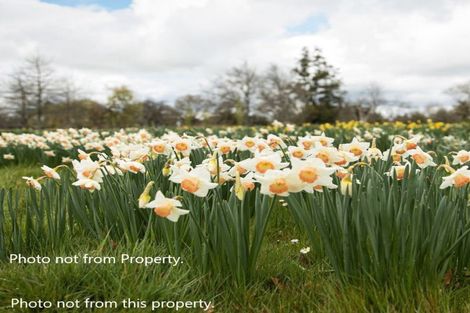 Photo of property in 109d Kyle Road, Waipukurau, 4281