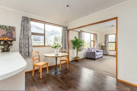 Photo of property in 14 Coulter Place, Geraldine, 7930