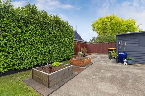 Photo of property in 19 Battersea Place, Roslyn, Palmerston North, 4414