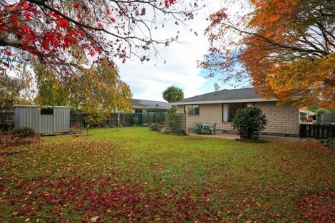 Photo of property in 17 Flatman Crescent, Geraldine, 7930