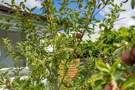 Photo of property in 19 Lewis Street, Gladstone, Invercargill, 9810