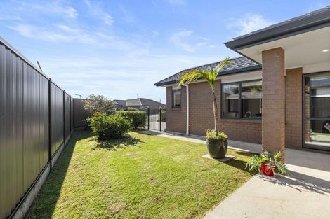 Photo of property in 15 Peter Way Place, Glenview, Hamilton, 3206