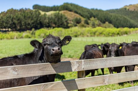 Photo of property in 59 Gilbert Road, Otara, Auckland, 2023