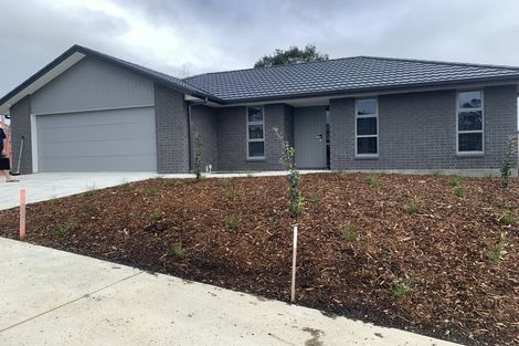 Photo of property in 17 Hikuwai Lane, Warkworth, 0910