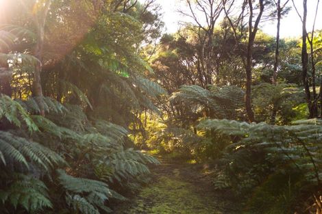 Photo of property in 886 Purerua Road, Te Ti Mangonui, Kerikeri, 0294