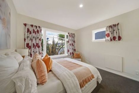 Photo of property in 13 Pagoda Street, Shirley, Christchurch, 8061