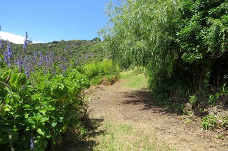 Photo of property in 145 Mannion Road, Wyuna Bay, Coromandel, 3581