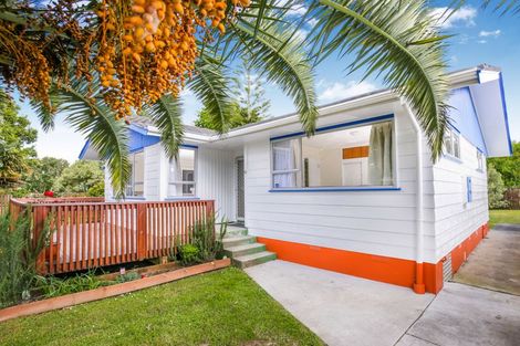 Photo of property in 16 Hinerau Street, Henderson, Auckland, 0612