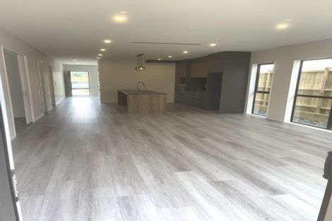 Photo of property in 17 Cyperus Street, Flat Bush, 2019