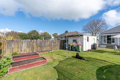 Photo of property in 8 Nixon Street, Hamilton East, Hamilton, 3216