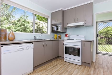 Photo of property in 16 Hinerau Street, Henderson, Auckland, 0612