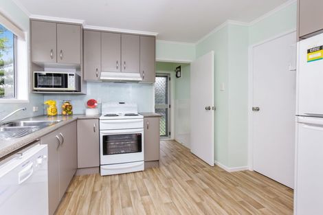 Photo of property in 16 Hinerau Street, Henderson, Auckland, 0612