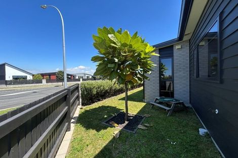 Photo of property in 3 Bronze Court, Papamoa, 3118