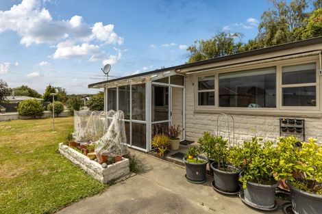 Photo of property in 168 Redwood Street, Witherlea, Blenheim, 7201