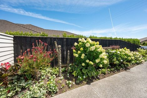 Photo of property in 102 Champion Road, Richmond, 7020