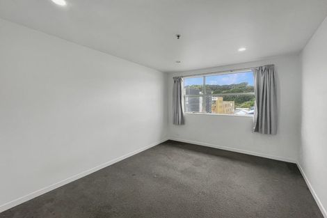 Photo of property in 13/30 Hanson Street, Mount Cook, Wellington, 6021