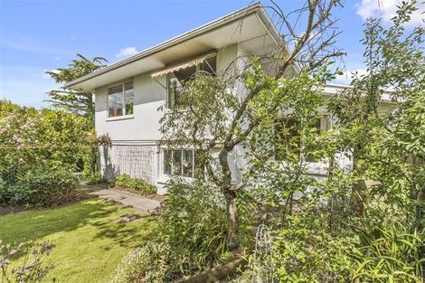 Photo of property in 19 Braithwaite Street, Ilam, Christchurch, 8041