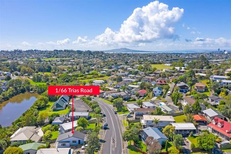 Photo of property in 1/66 Trias Road, Totara Vale, Auckland, 0629