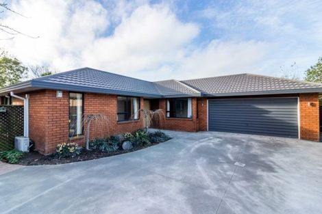 Photo of property in 8 Lovelock Street, Dallington, Christchurch, 8061