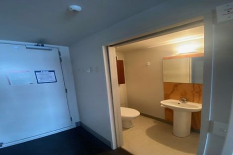 Photo of property in Urbane Apartments, 29/29 Webb Street, Mount Cook, Wellington, 6011