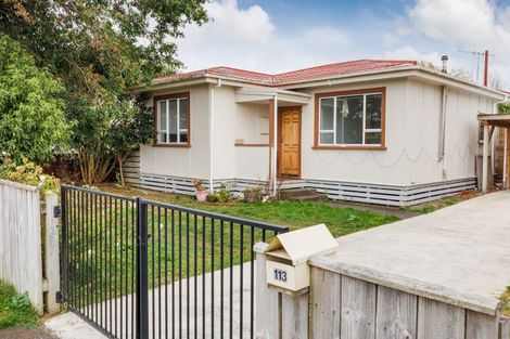 Photo of property in 113 Derby Street, Feilding, 4702
