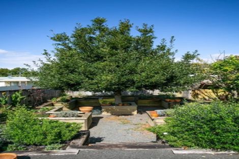 Photo of property in 44 Campbell Street, Leamington, Cambridge, 3432