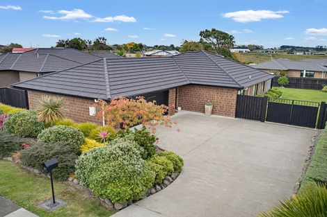 Photo of property in 21 Macdonald Heights, Feilding, 4702