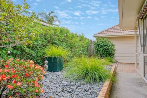 Photo of property in 51b Landing Road, Whakatane, 3120