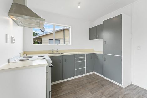 Photo of property in 14 Guy Avenue, Levin, 5510