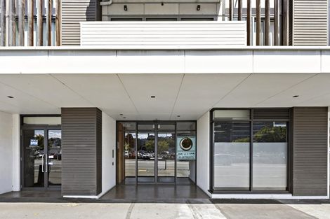 Photo of property in Masina Apartments, 201/80u Riddiford Street, Newtown, Wellington, 6021