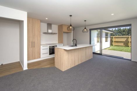 Photo of property in 24 Dallimore Drive, Belfast, Christchurch, 8051