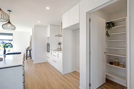 Photo of property in 79 Nethercote Way, Rolleston, 7614