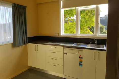 Photo of property in 28 Overtoun Terrace, Hataitai, Wellington, 6021