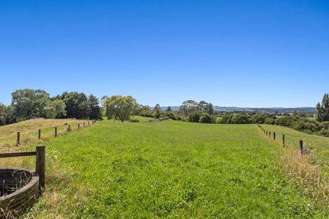 Photo of property in 153a Hogg Road, Rotoma, Whakatane, 3192